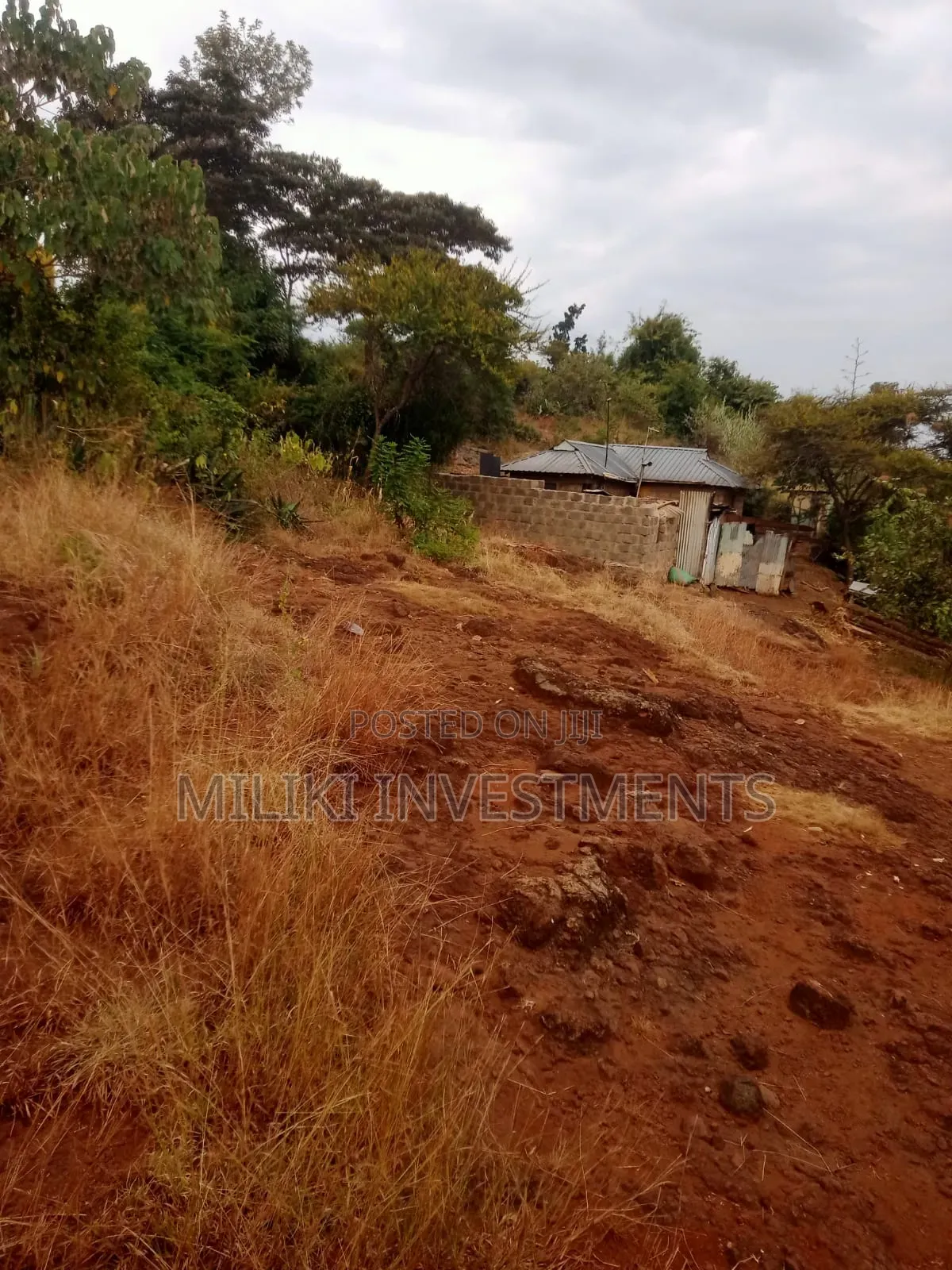 50 by 100 Plots at Kenol-Kimorori