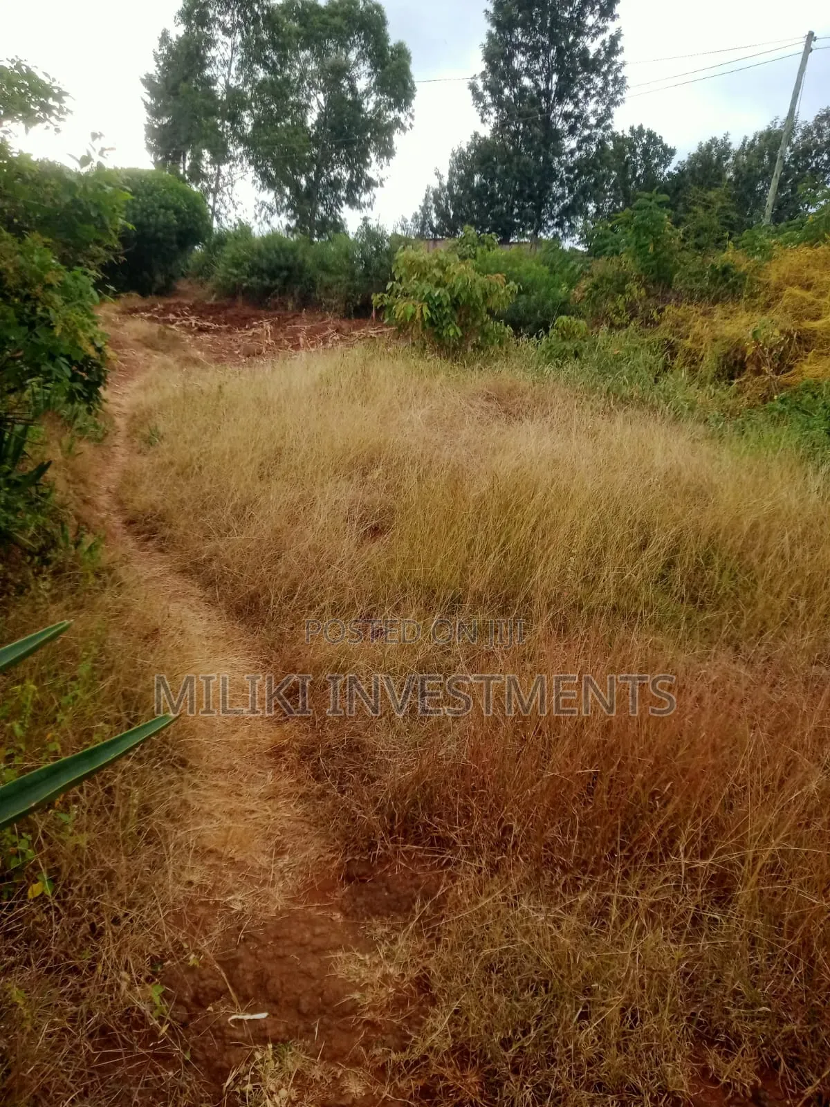 50 by 100 Plots at Kenol-Kimorori