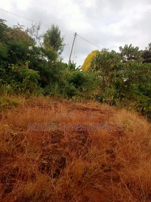 50 by 100 Plots at Kenol-Kimorori