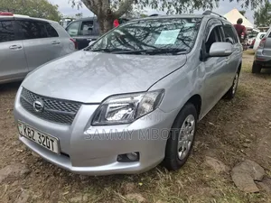 Toyota Corolla Fielder 2007 Silver