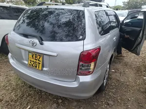 Toyota Corolla Fielder 2007 Silver