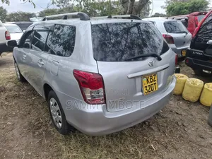 Toyota Corolla Fielder 2007 Silver