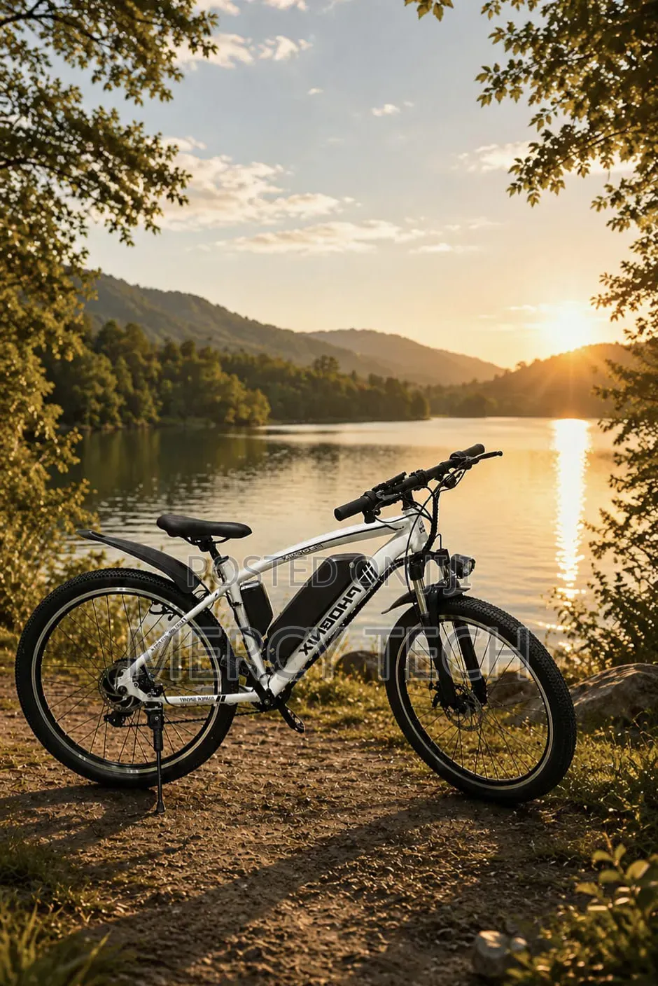 Phoenix Mid-Drive Mountain E-Bike