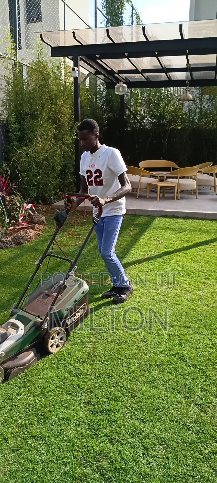 Landscaping