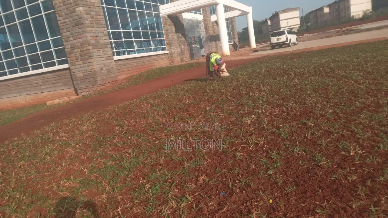 Landscaping