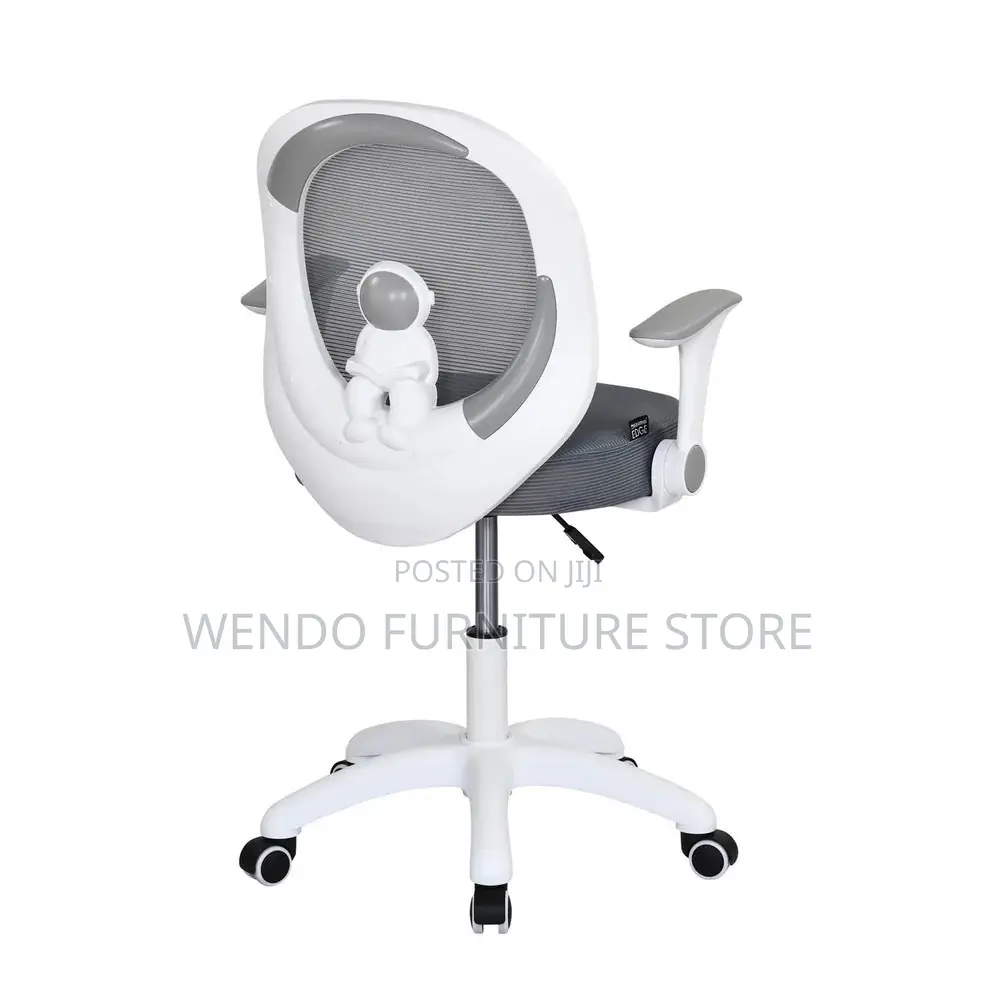 Office Chairs; Adjustable Home Office Reclining Ergonomic Chairs