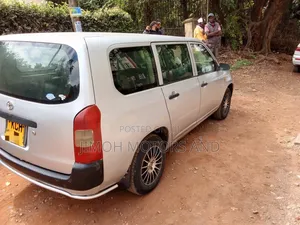 Toyota Probox 2010 Silver
