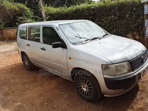 Toyota Probox 2010 Silver