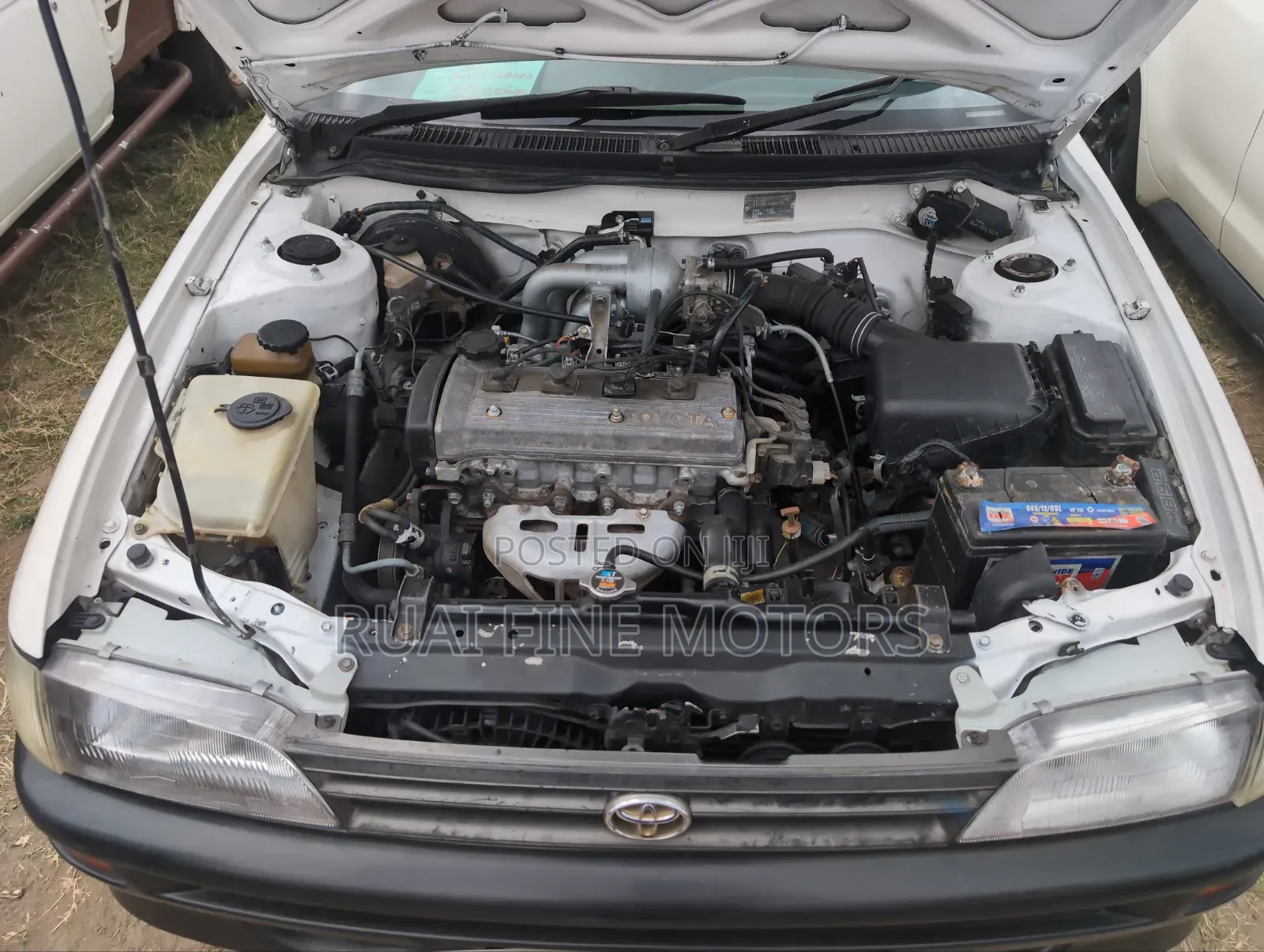 Toyota Corolla 2000 White