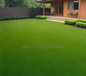 Home Decor; Compound and Gardens Artificial Green Grass