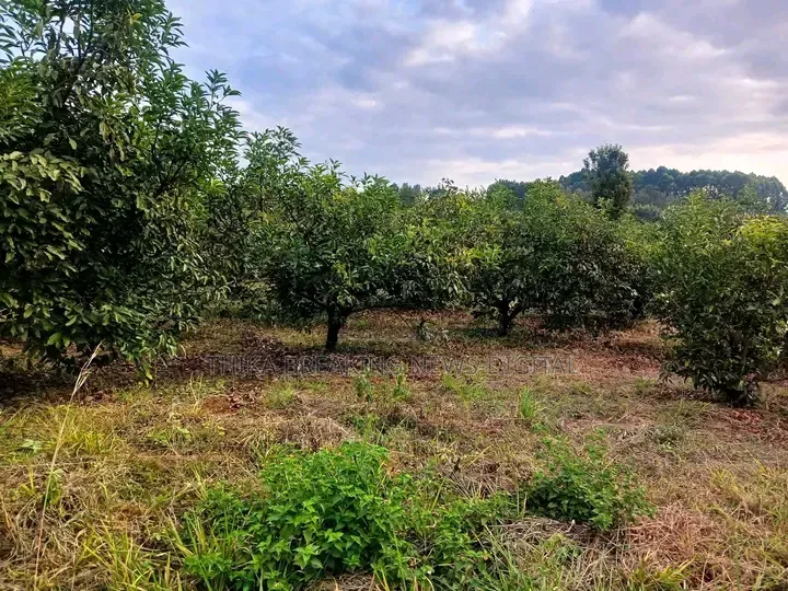 Selling 6 Acres Land at Makuyu Mithiini Kakuzi Touching Tarmac Road.