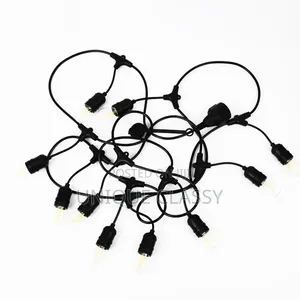 Electric String Lights
