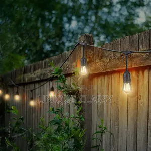 Electric String Lights
