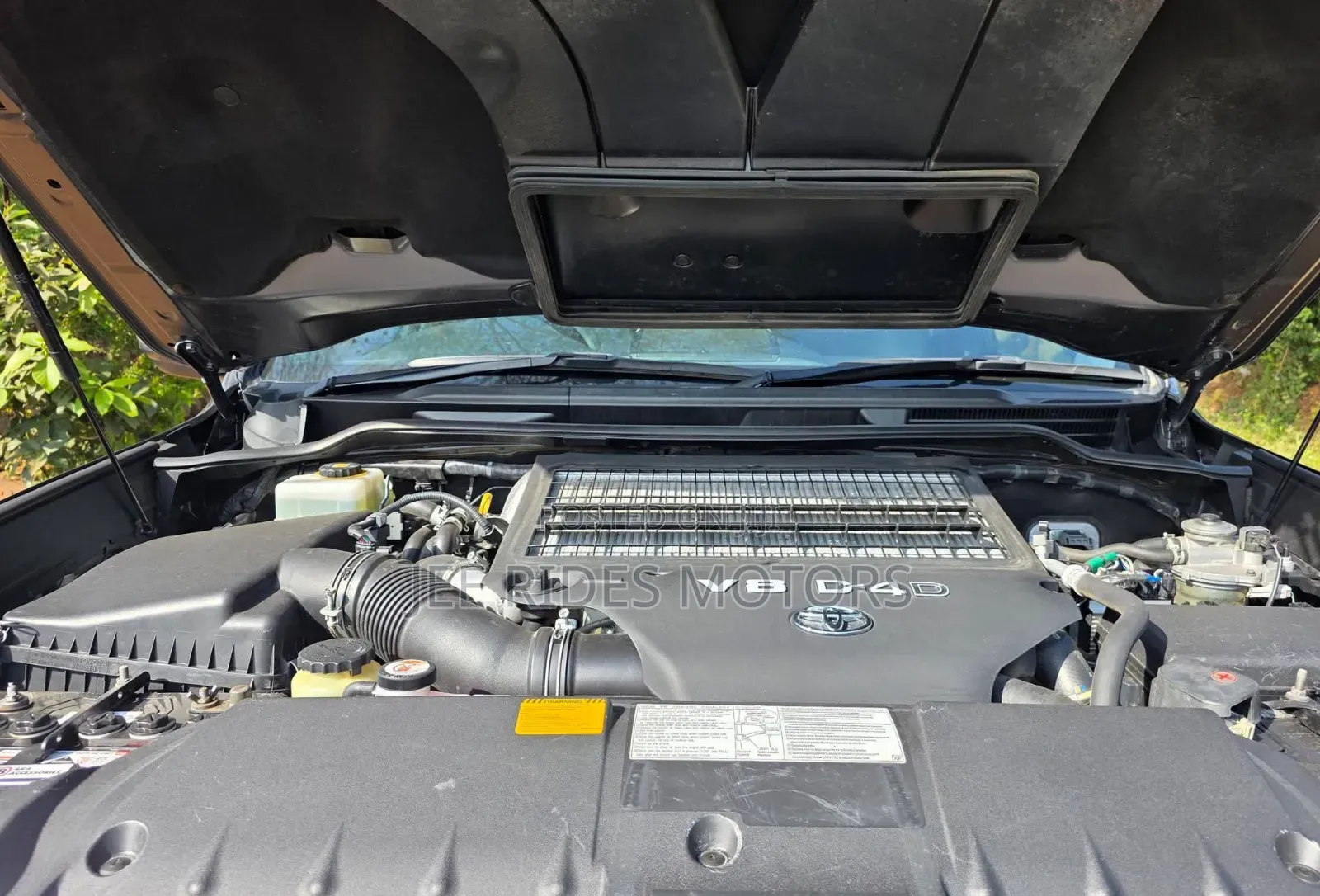 Toyota Land Cruiser 2020 Gray