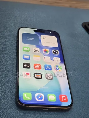 Apple iPhone 15 Pro Max 256 GB Gray