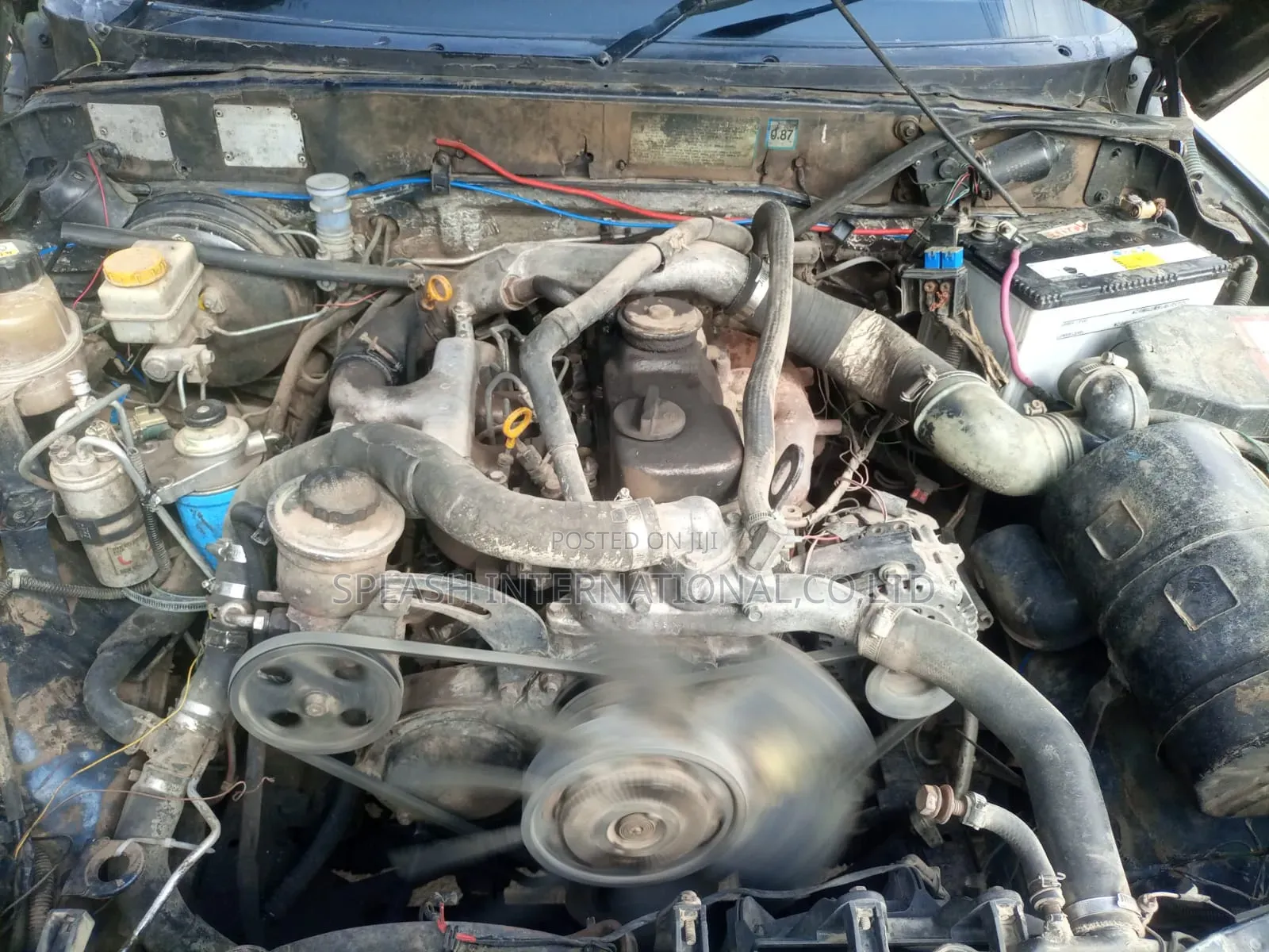 SsangYong Musso 1999 Green