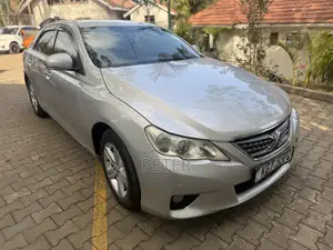 Toyota Mark X 2011 Silver