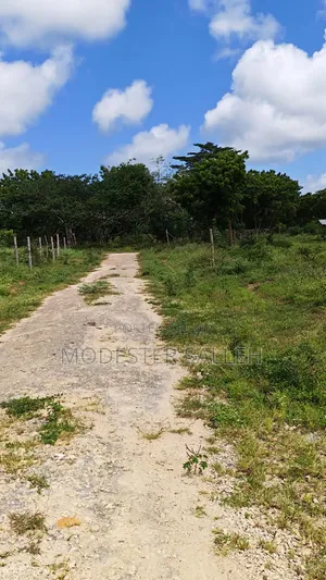 Plots in Msabaha Malindi for Sale