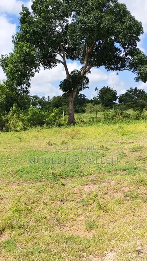Plots in Msabaha Malindi for Sale