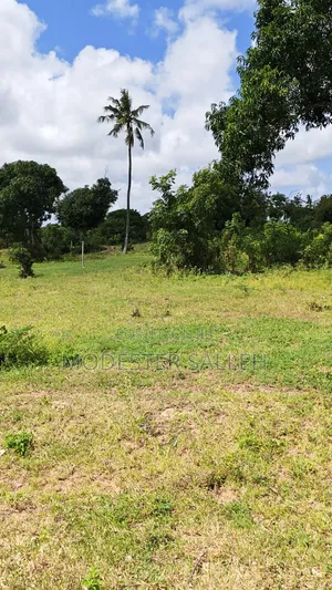 Plots in Msabaha Malindi for Sale