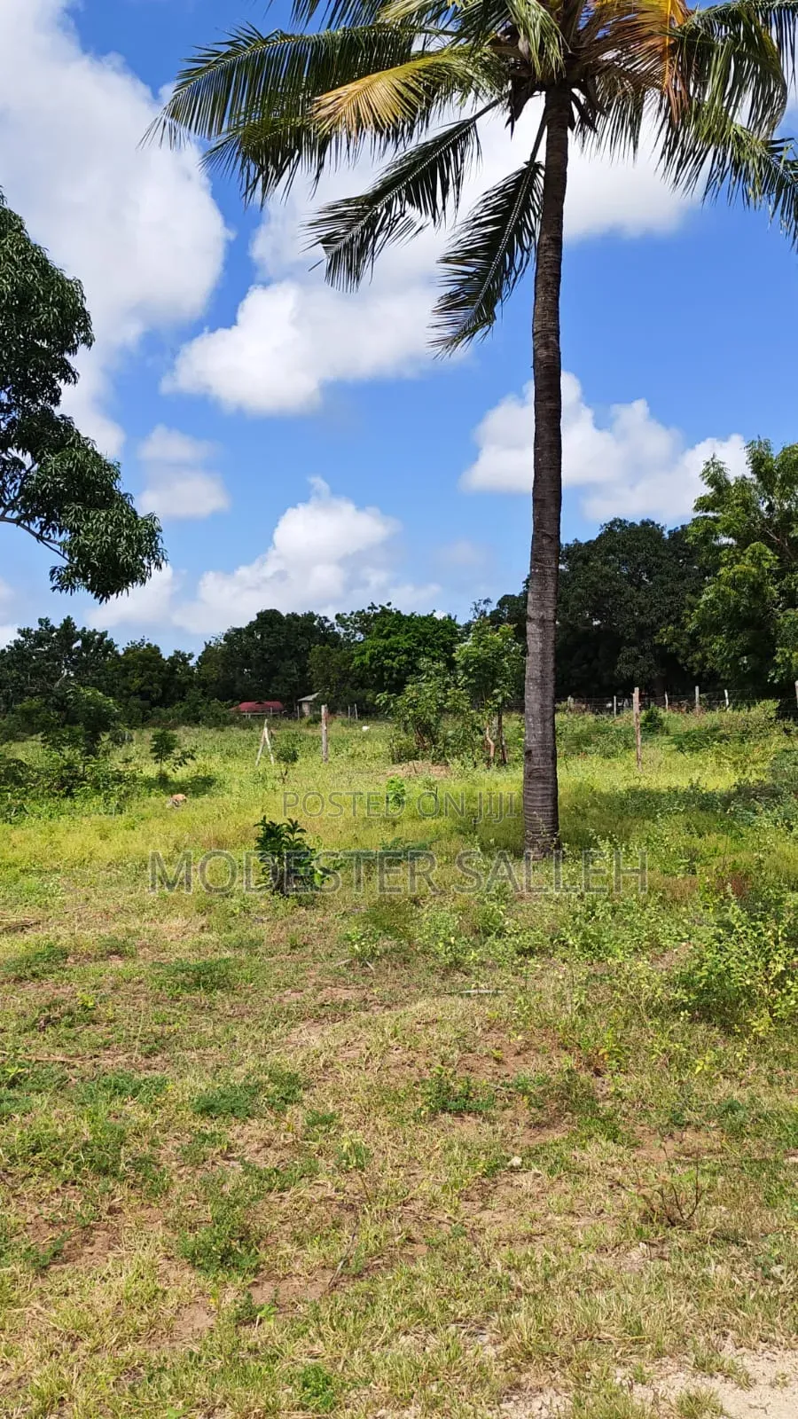 Plots in Msabaha Malindi for Sale