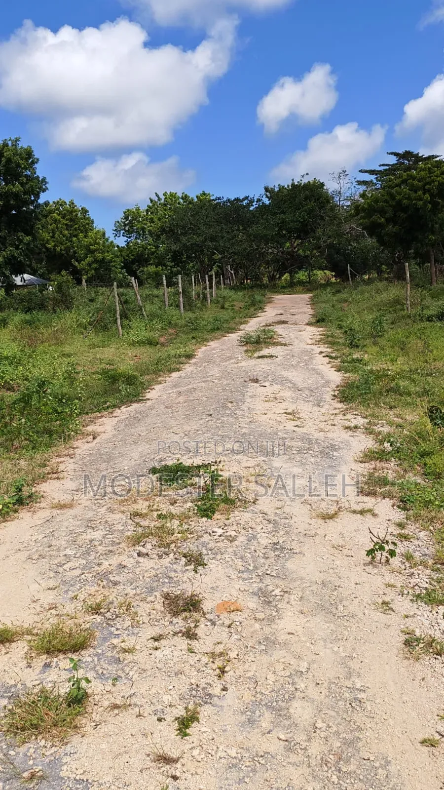 Plots in Msabaha Malindi for Sale