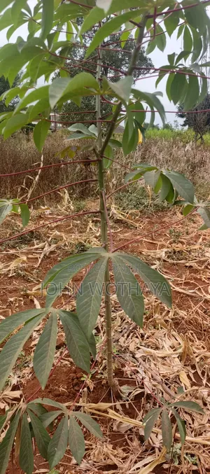 Plot for Sale at ATHENA Estate in Thika, Near Vincentian Prayer Centre