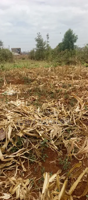 Plot for Sale at ATHENA Estate in Thika, Near Vincentian Prayer Centre