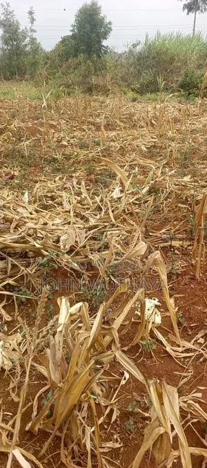 Plot for Sale at ATHENA Estate in Thika, Near Vincentian Prayer Centre
