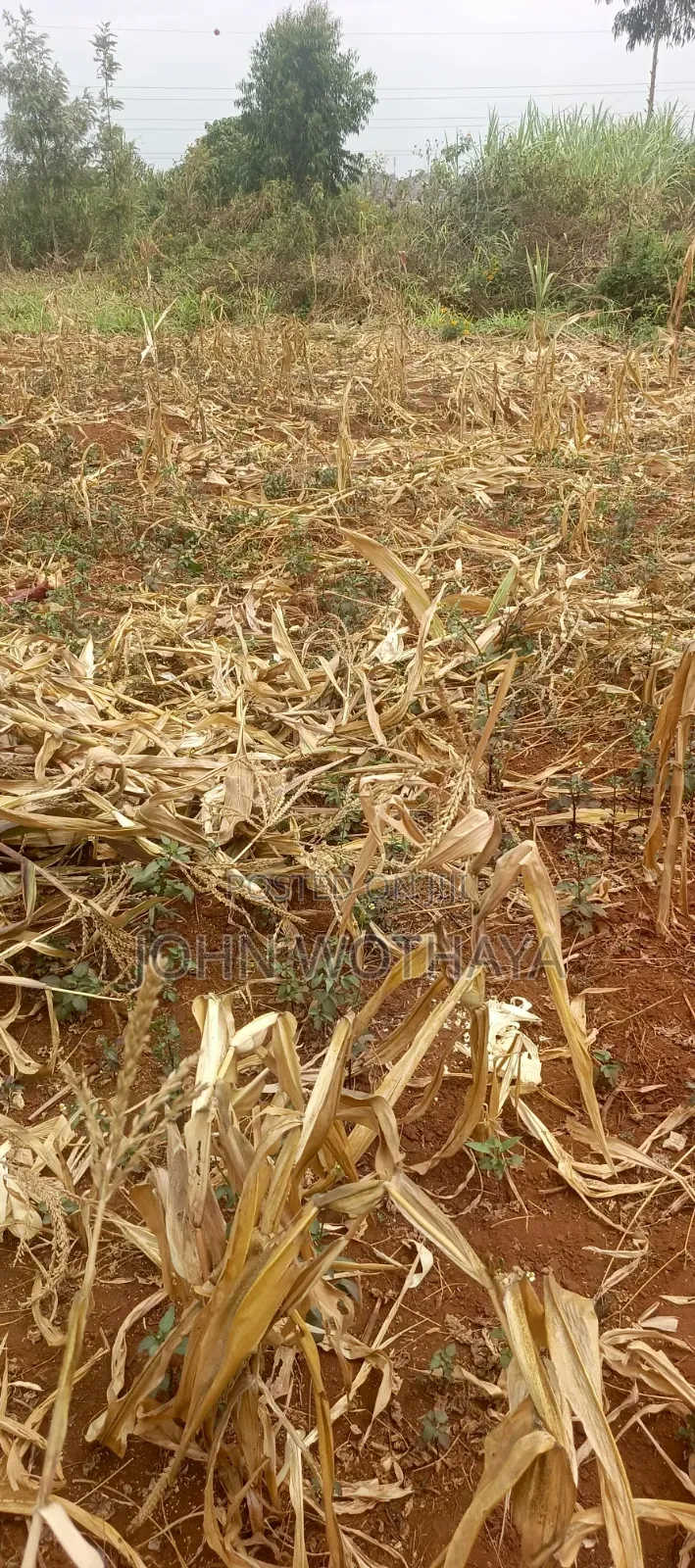 Plot for Sale at ATHENA Estate in Thika, Near Vincentian Prayer Centre