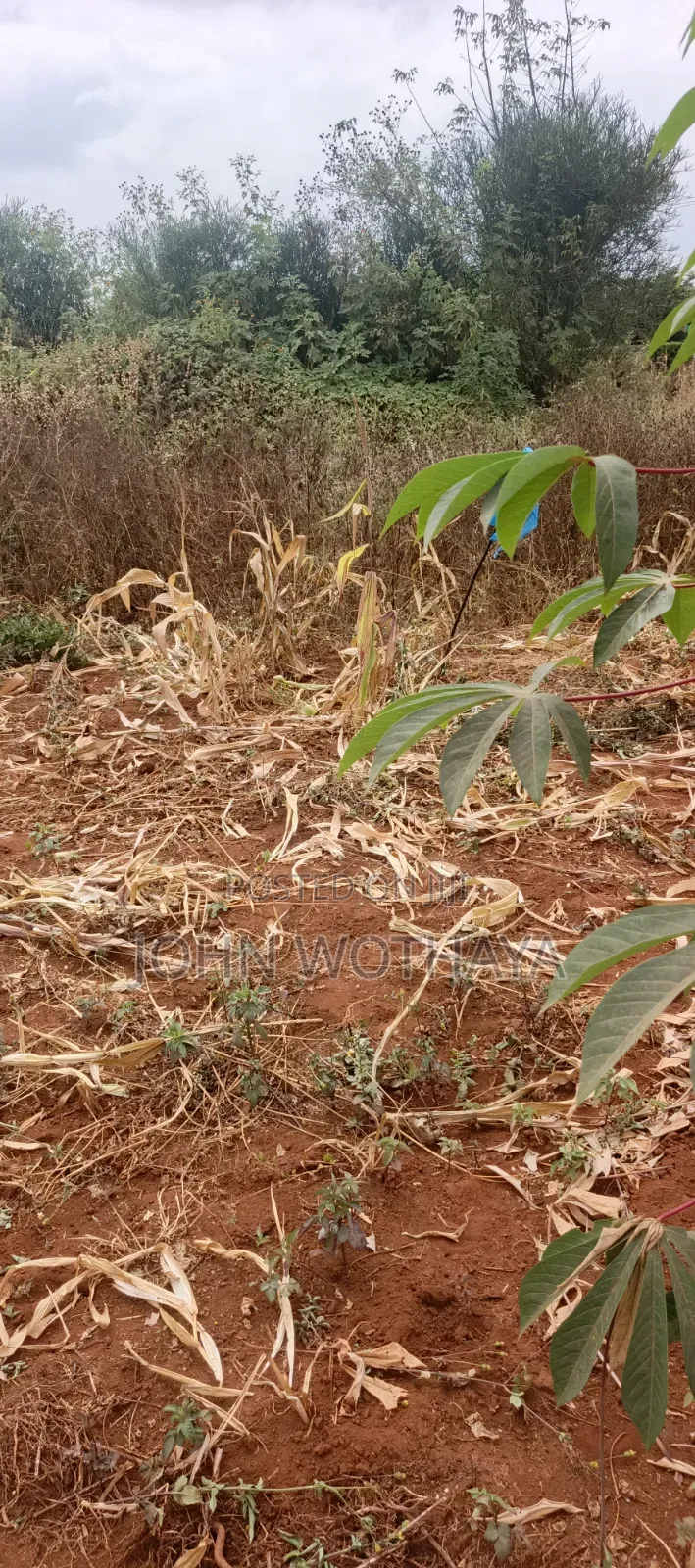 Plot for Sale at ATHENA Estate in Thika, Near Vincentian Prayer Centre