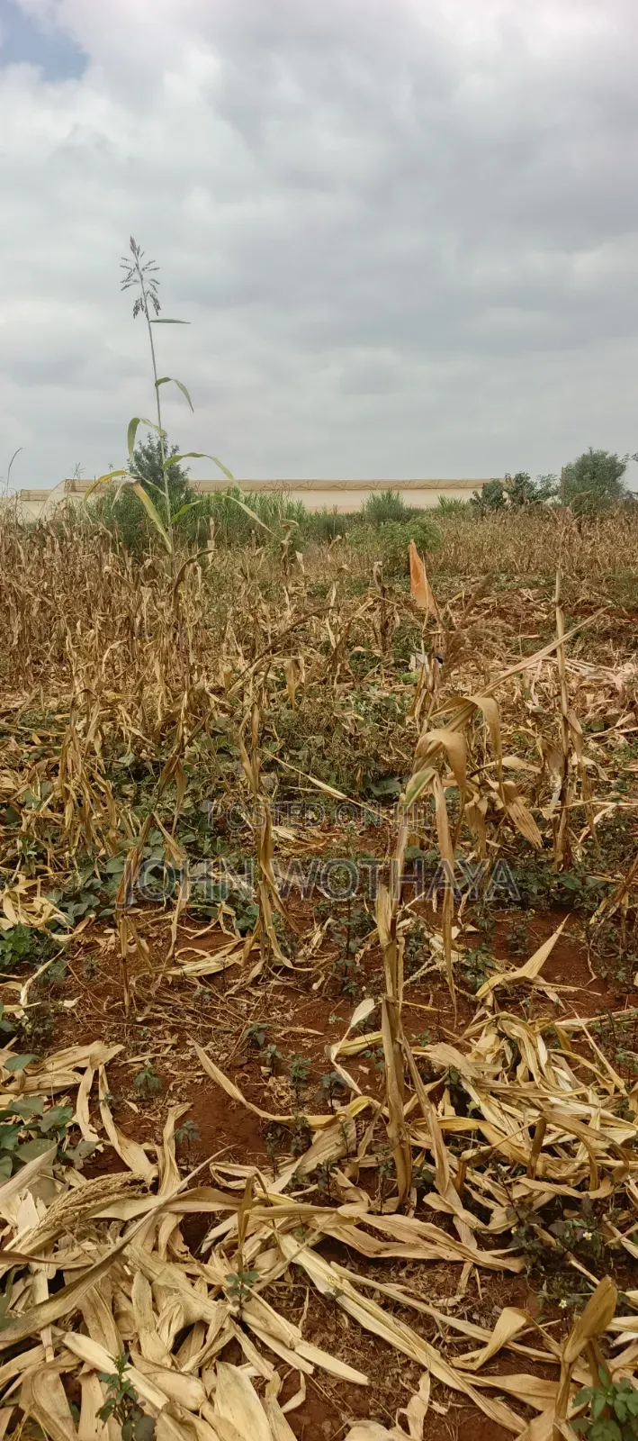 Plot for Sale at ATHENA Estate in Thika, Near Vincentian Prayer Centre