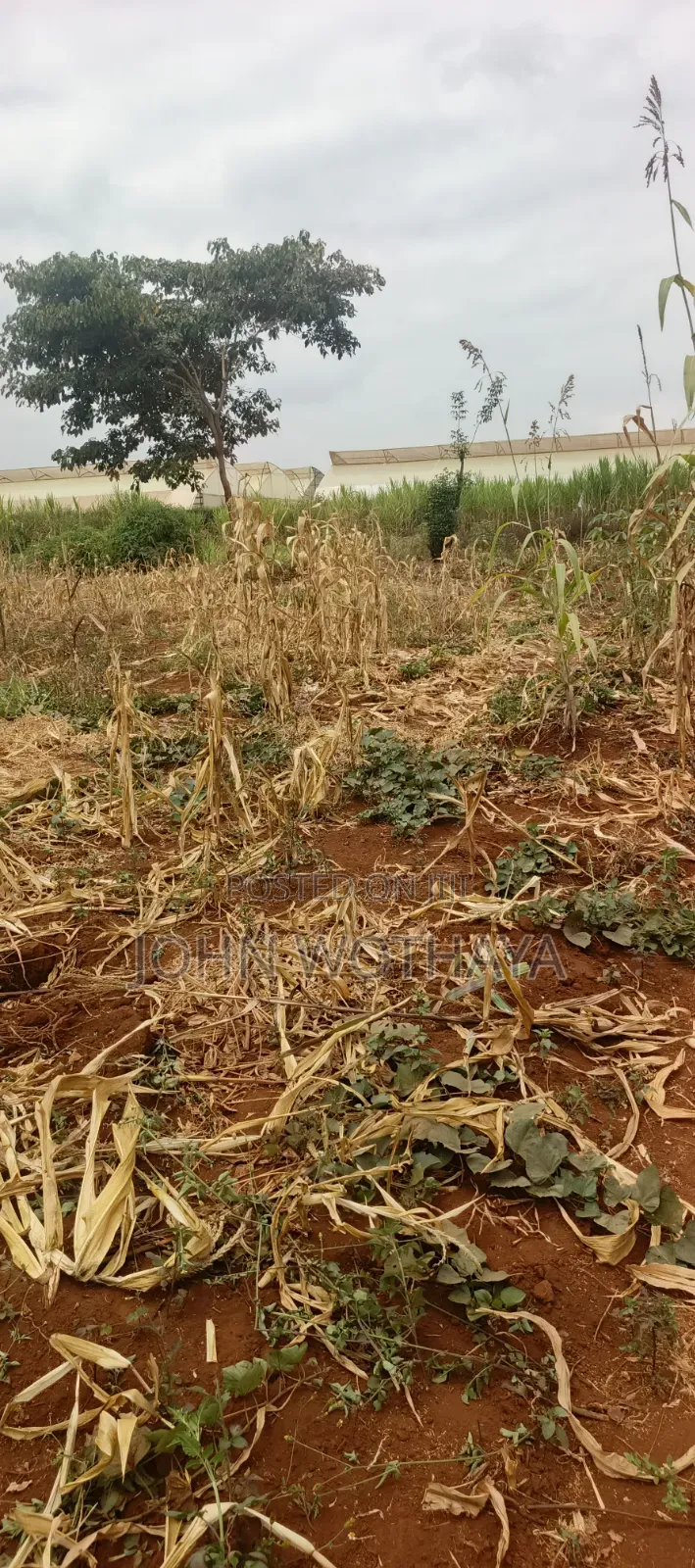 Plot for Sale at ATHENA Estate in Thika, Near Vincentian Prayer Centre