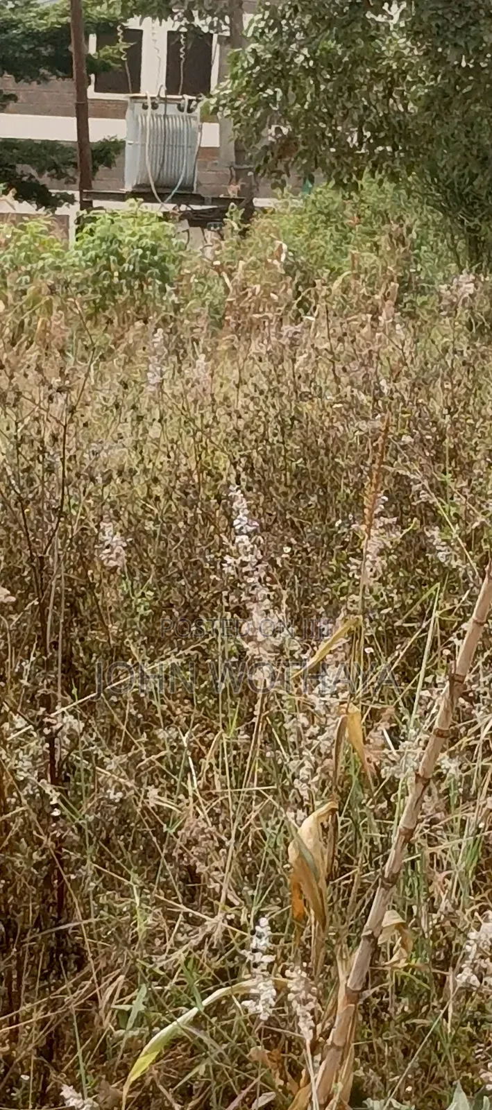 Plot for Sale at ATHENA Estate in Thika, Near Vincentian Prayer Centre