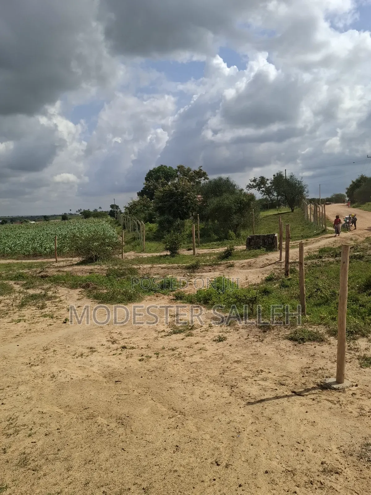 Mariakani Prime Plots for Sale With Freehold Titledeed