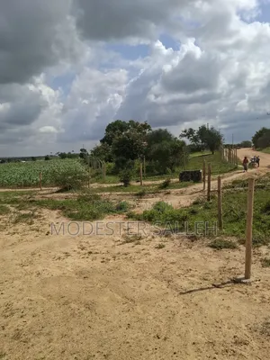 Mariakani Prime Plots for Sale With Freehold Titledeed