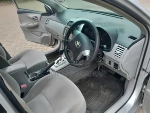 Toyota Axio 2010 Silver