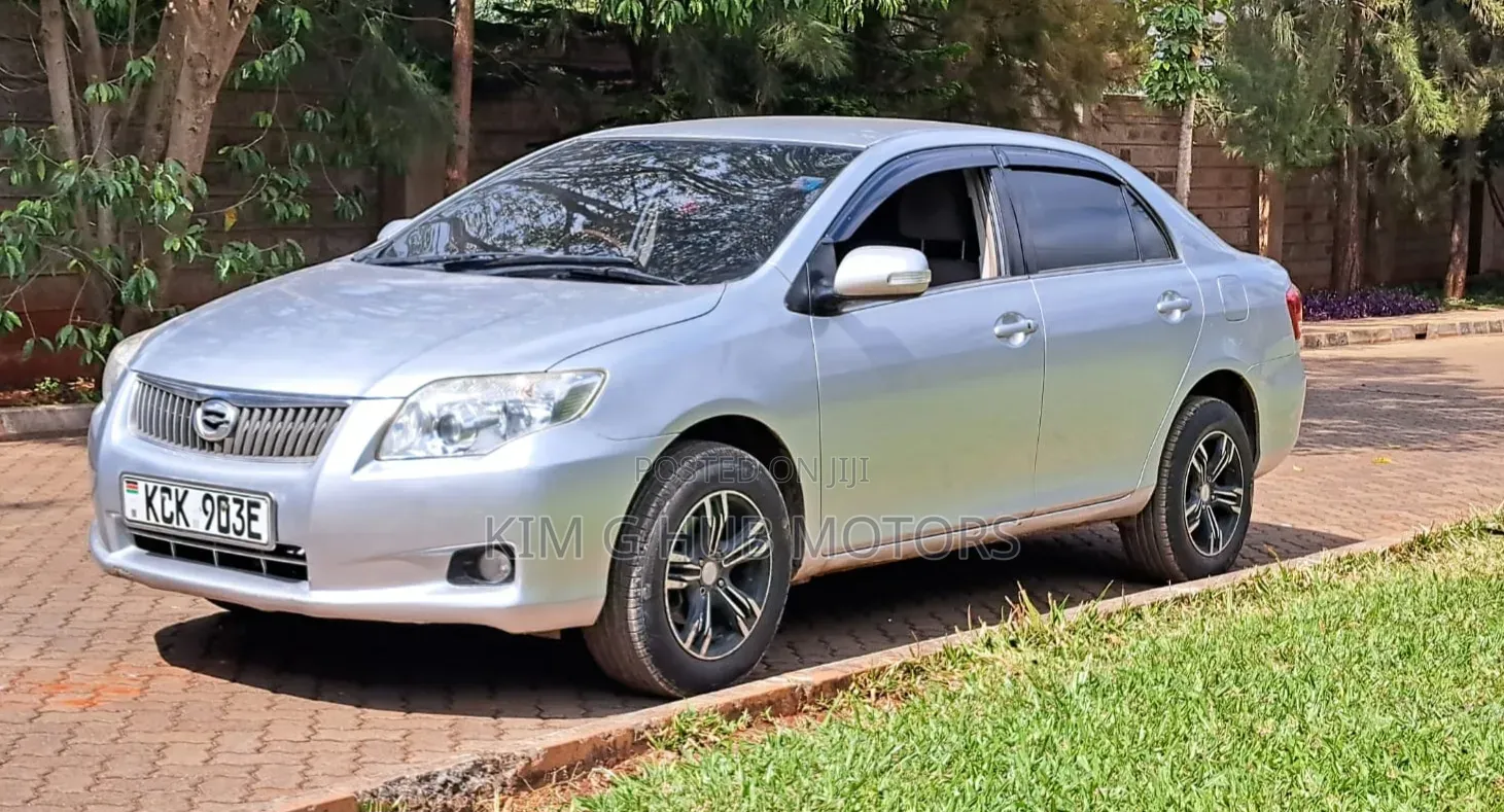 Toyota Axio 2009 Silver