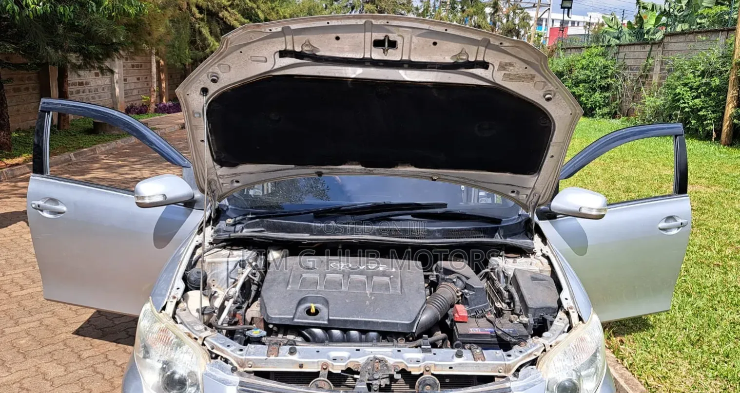 Toyota Axio 2009 Silver