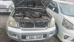 Toyota Land Cruiser 2007 Silver