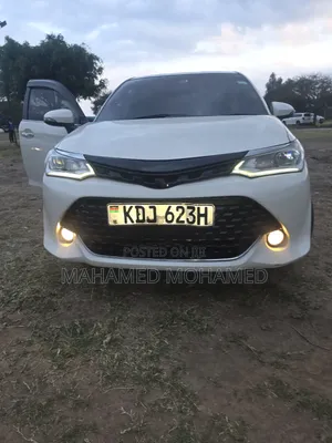 Toyota Corolla Fielder 2015 White