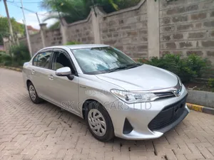 Toyota Axio 2019 Silver