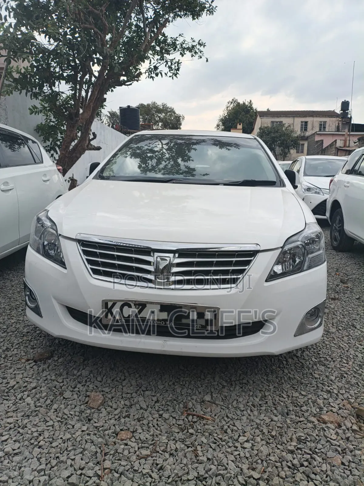 Toyota Premio 2013 White