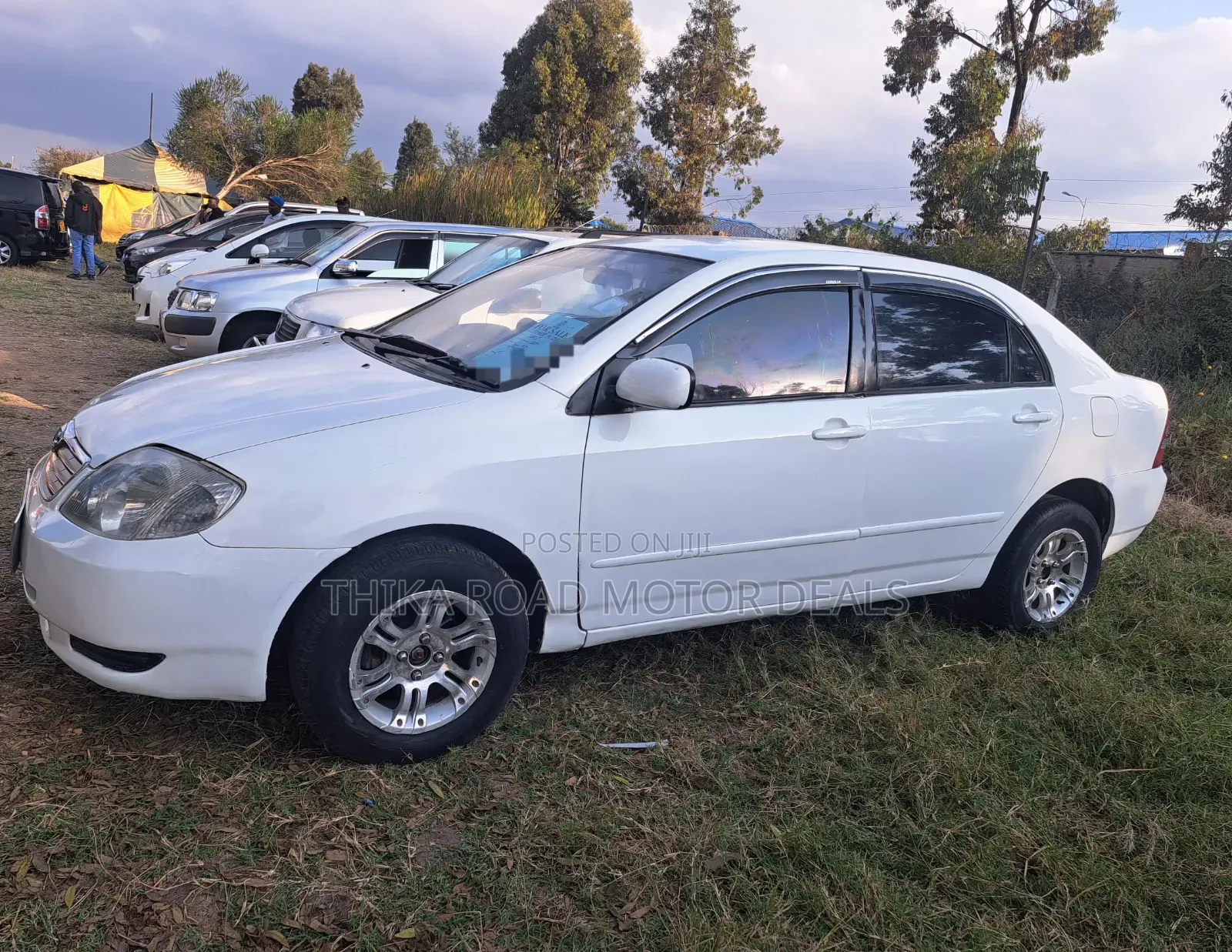 Toyota Corolla 2005 White