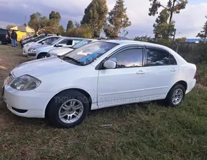 Toyota Corolla 2005 White