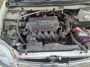 Toyota Corolla 2005 White
