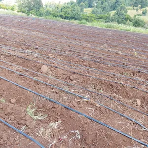 Drip Irrigation