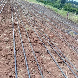 Drip Irrigation