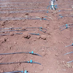 Drip Irrigation
