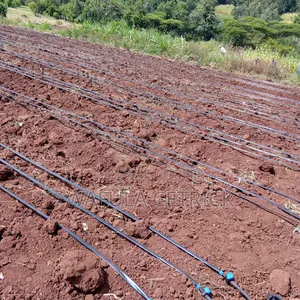 Drip Irrigation